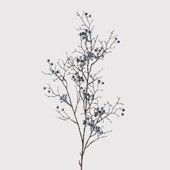 Blue berries spray
