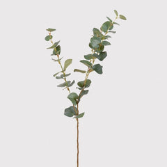 Nat. Eucalyptus Spray