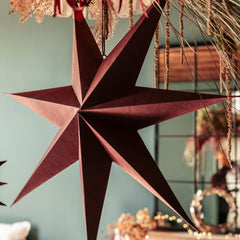 Small paper star, berry