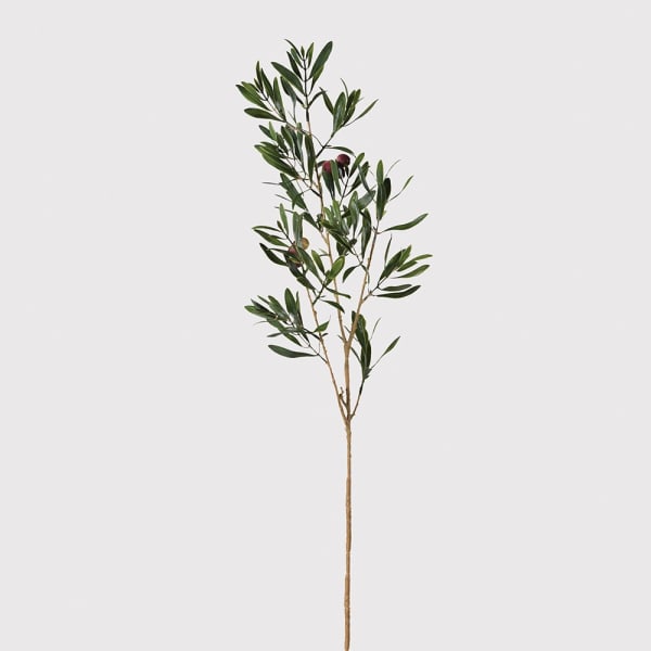 Olive spray