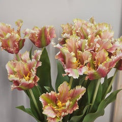 Parrot tulip arrangement